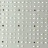 cropped hexselect engine protein array 2