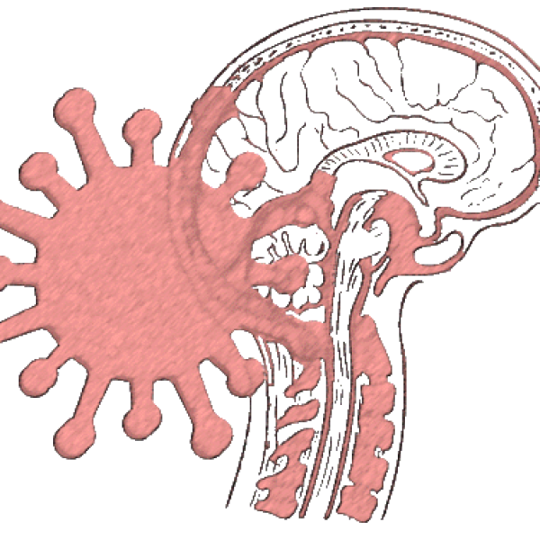 NeuroCovid_v3