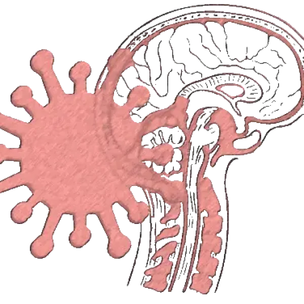NeuroCovid_v3