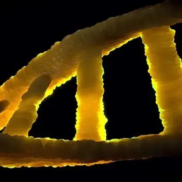 dna-1388692_640